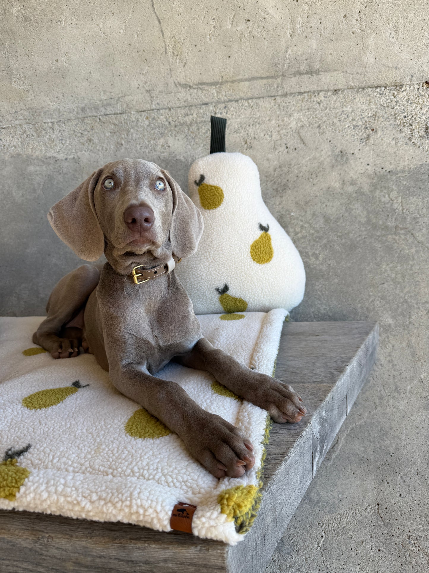 KuschelZeit Kuschelinge Birne