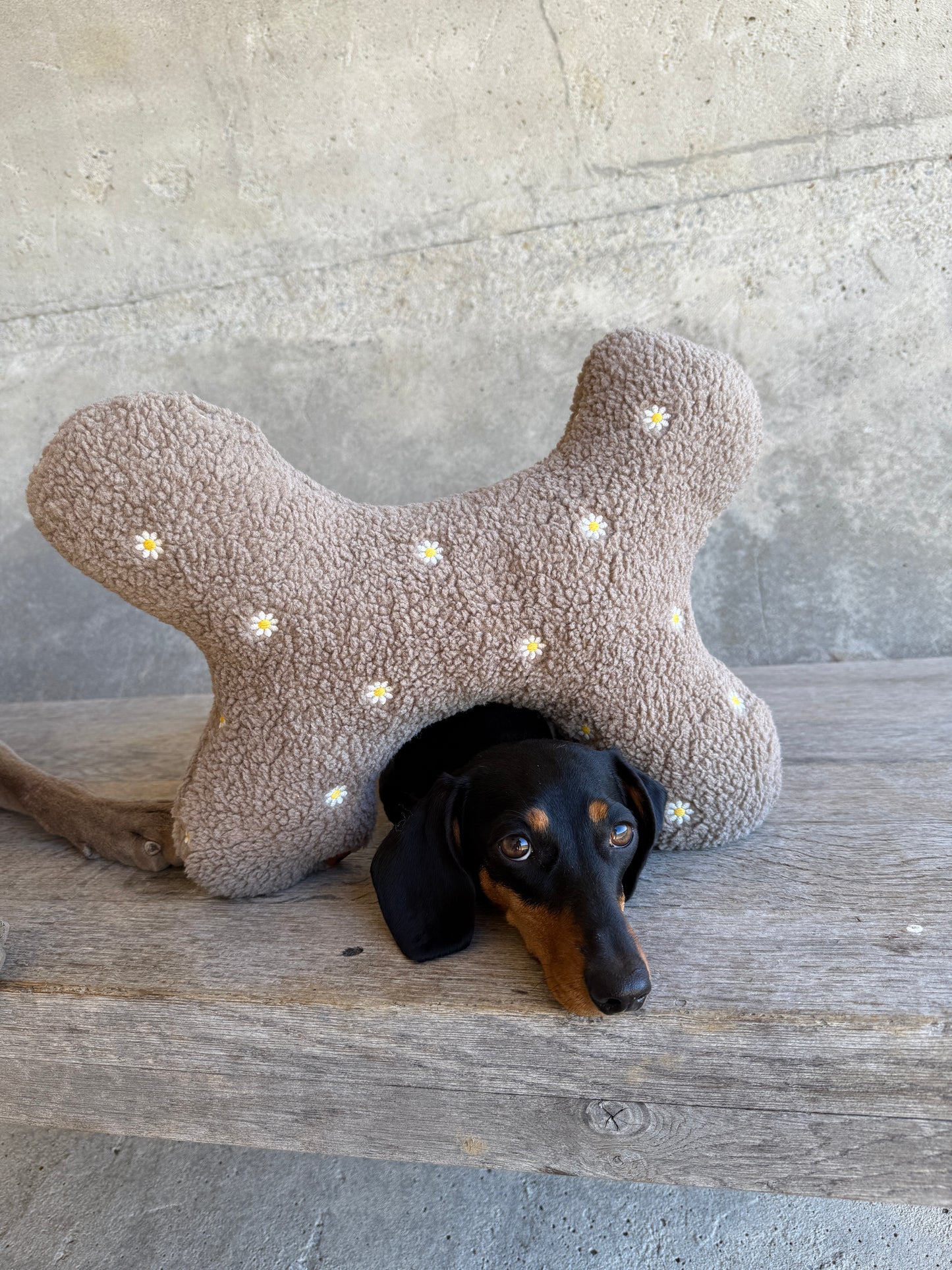 KuschelZeit Kuschelinge