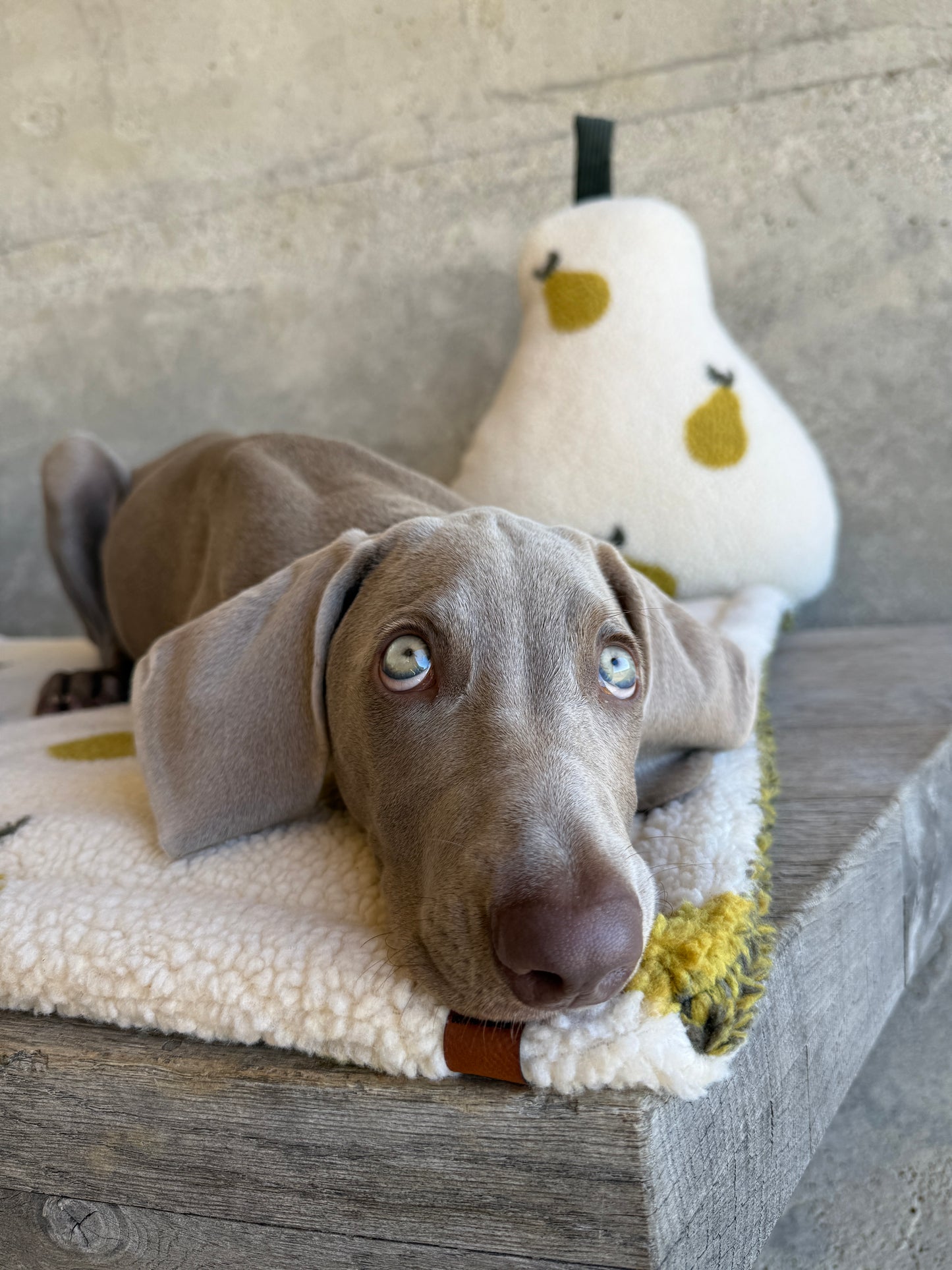 KuschelZeit Kuschelinge Birne