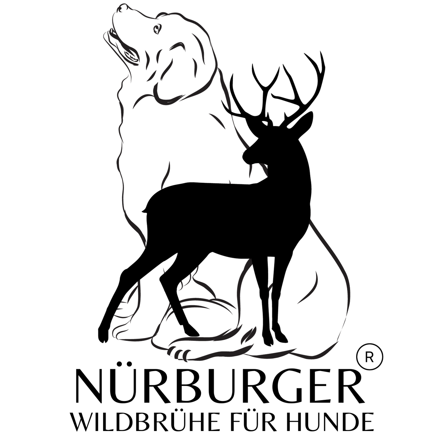 Wildbrühe