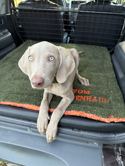 KuschelZeit Hubertus